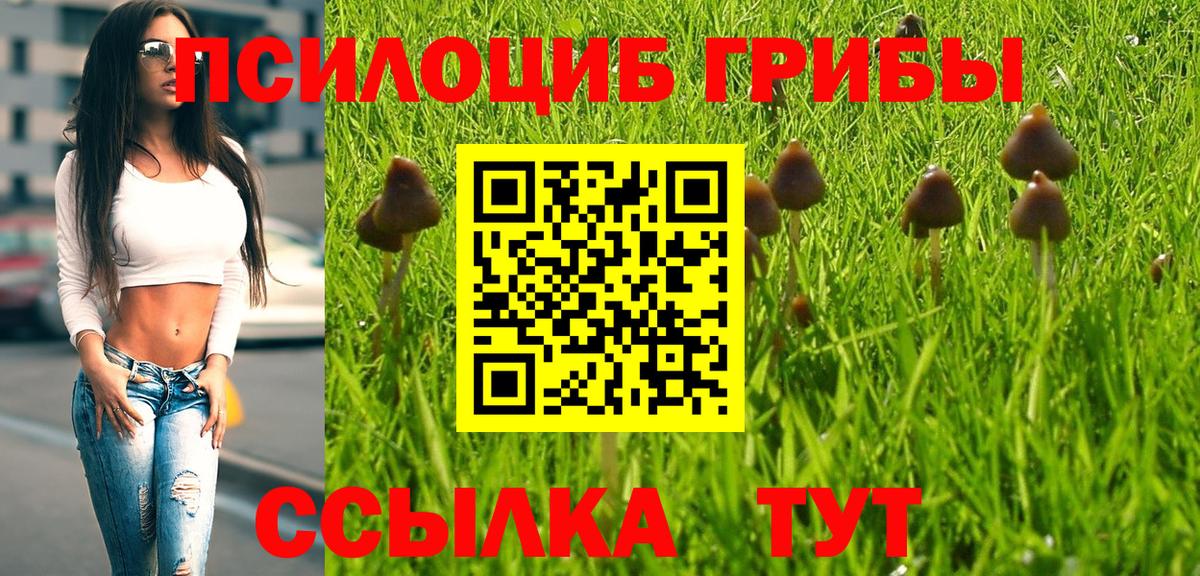 Псилоцибиновые грибы Psilocybe  Вход с VPN  Сорочинск 